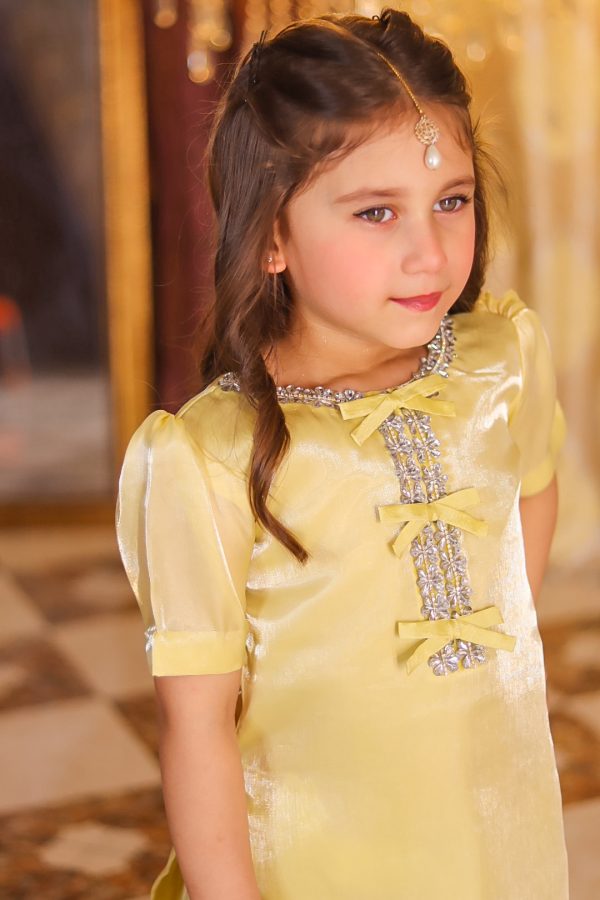 ZARISH - Image 5